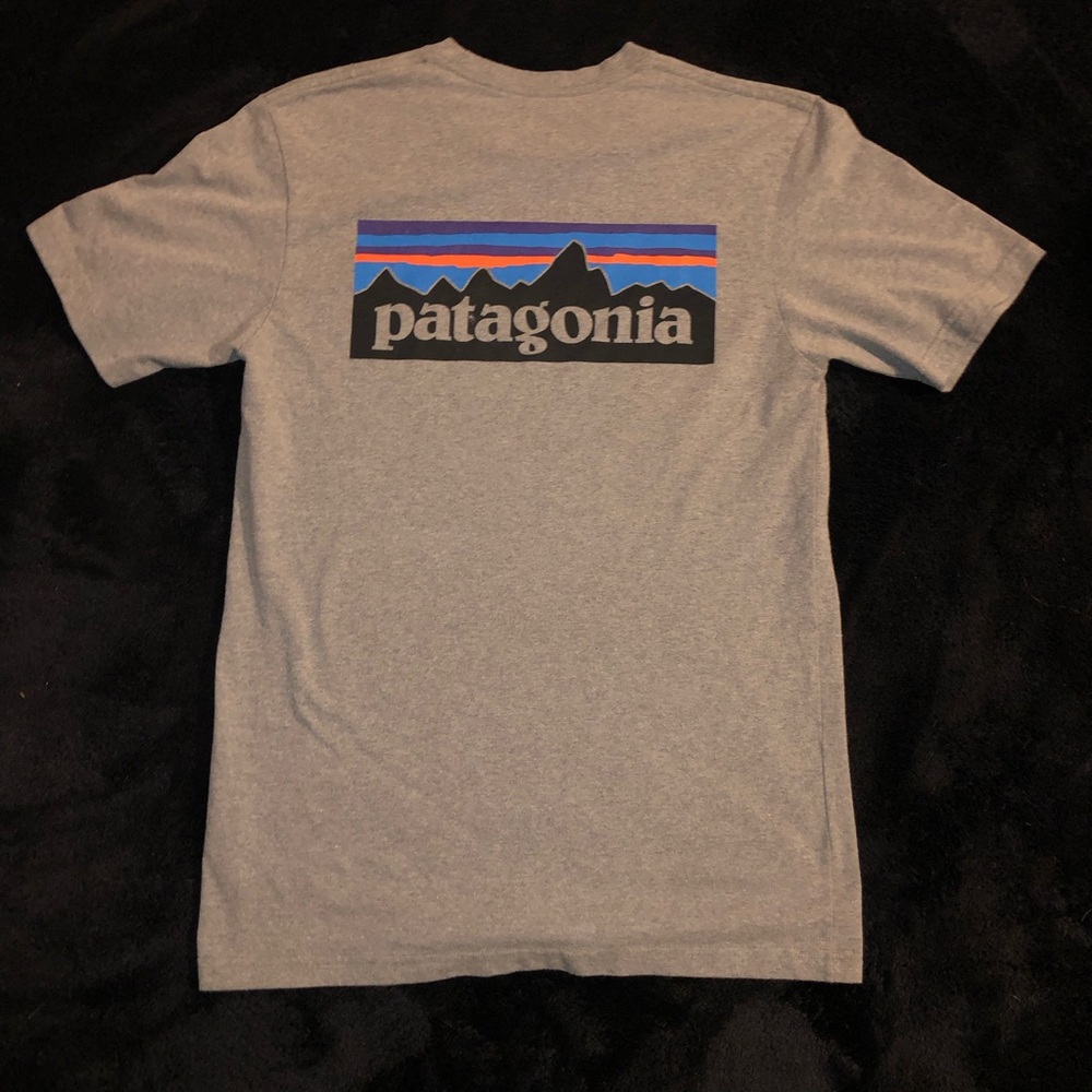 Patagonia Gray Tee with Black, Blue and Purple Mountain Logo